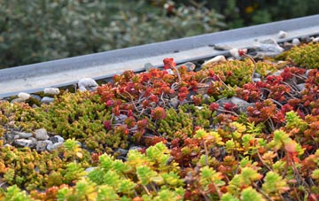 the cost of Sylen green roof installation