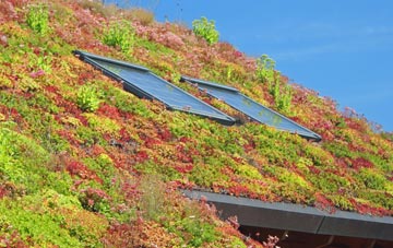 Sylen living roof systems